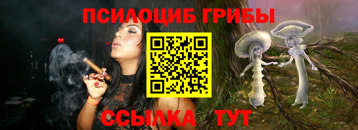 Псилоцибиновые грибы Psilocybine cubensis Клинцы