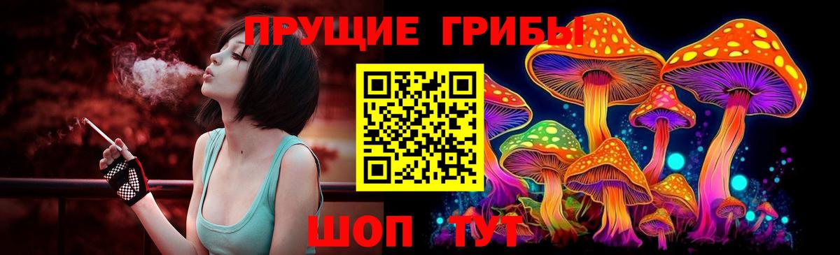 Клинцы  Галлюциногенные грибы Cubensis  Вход с VPN  Псилоцибиновые грибы Psilocybine cubensis 